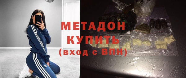 индика Аркадак