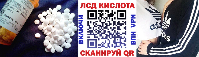 даркнет сайт  Курганинск  мега ссылка  Лсд 25 экстази кислота 