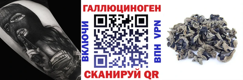 hydra как войти  цены   Курганинск  Псилоцибиновые грибы ЛСД 
